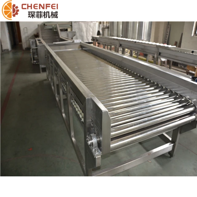 
High Quality Olive Sorting Machine for Sale Multifunctional Sorting Conveyor Machine with the Lowest Price 