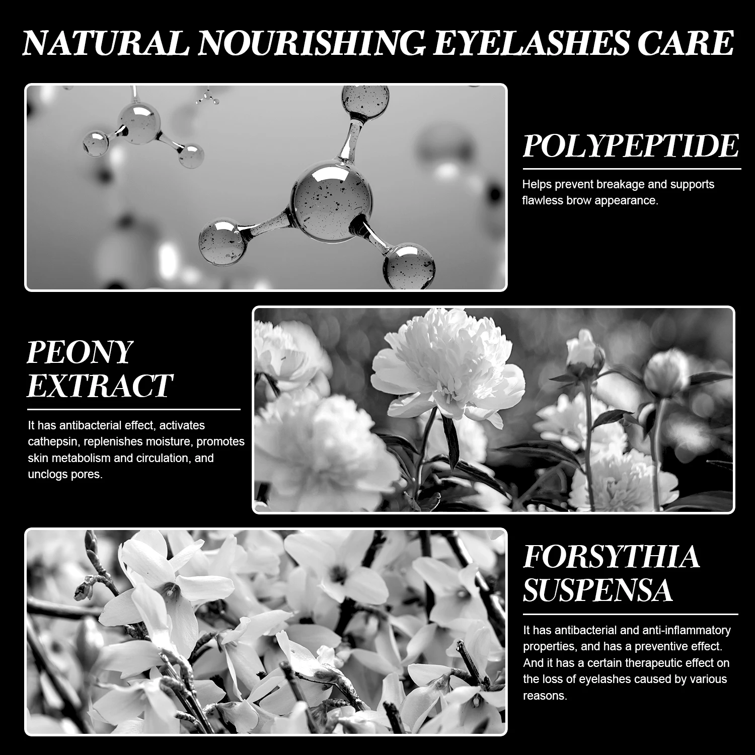 IMMETEE Organic Thicker Private Label Eyelash Serum Liquid Formula for Natural Eyelash Brow Growth Strengthen Lengthen Brows