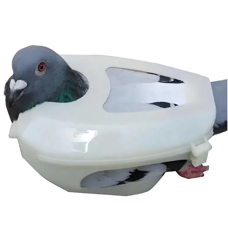 Pigeon holder
