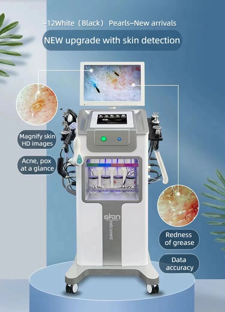 12 In 1 Facial Machine Skin Care Cleansing Oxygen Jet Beauty Machine