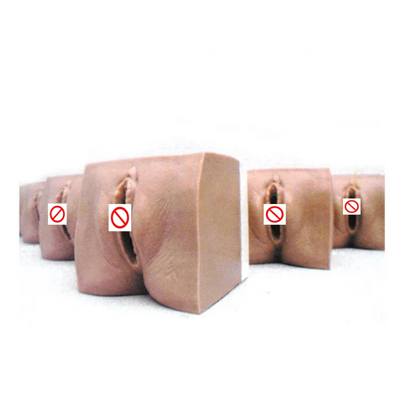 Медицинская обучающая модель для ухода за матери Гинекологическая пренатальный цервикс и