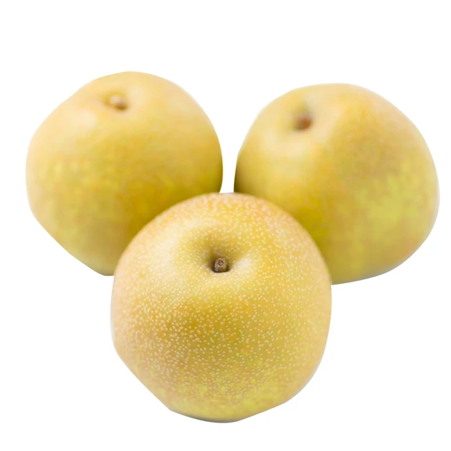 Reasonable price Japan other agriculture products fruit pear