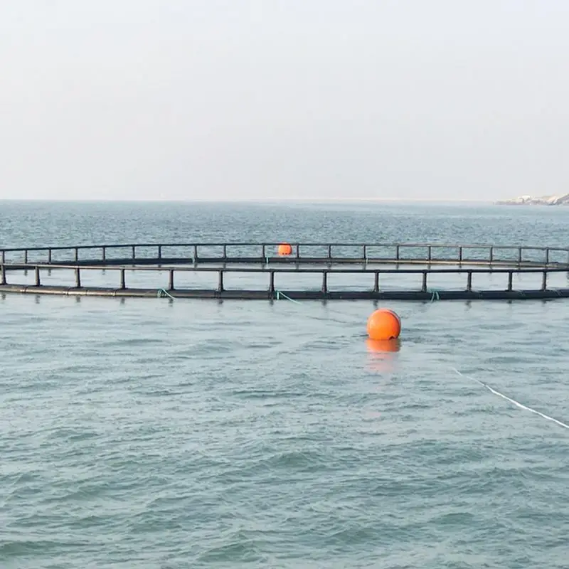 PE100 HDPE Pipes 180mm  For Deep Ocean Floating Fish Farming round Cage