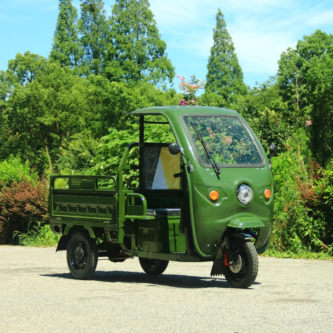 Chinese Electric Tricycles Export E Trike 1000W 2000W Power Customized  Tricycle