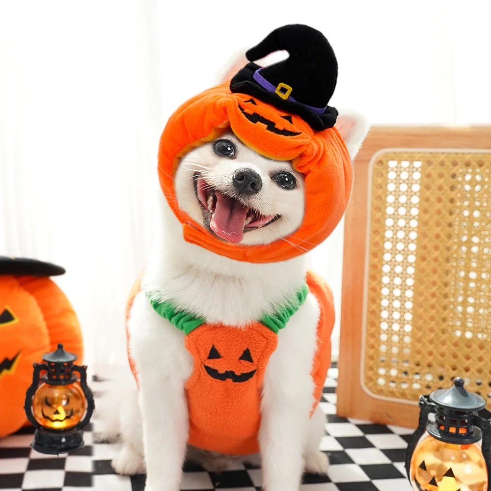 Halloween Holiday Pumpkin Lights Transformer Costume Spooky Cat Pet Dog Clothes