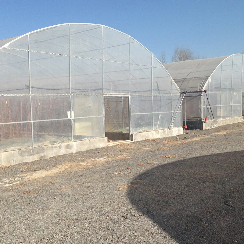 Poultry Farm Design Greenhouse single-span greenhouse