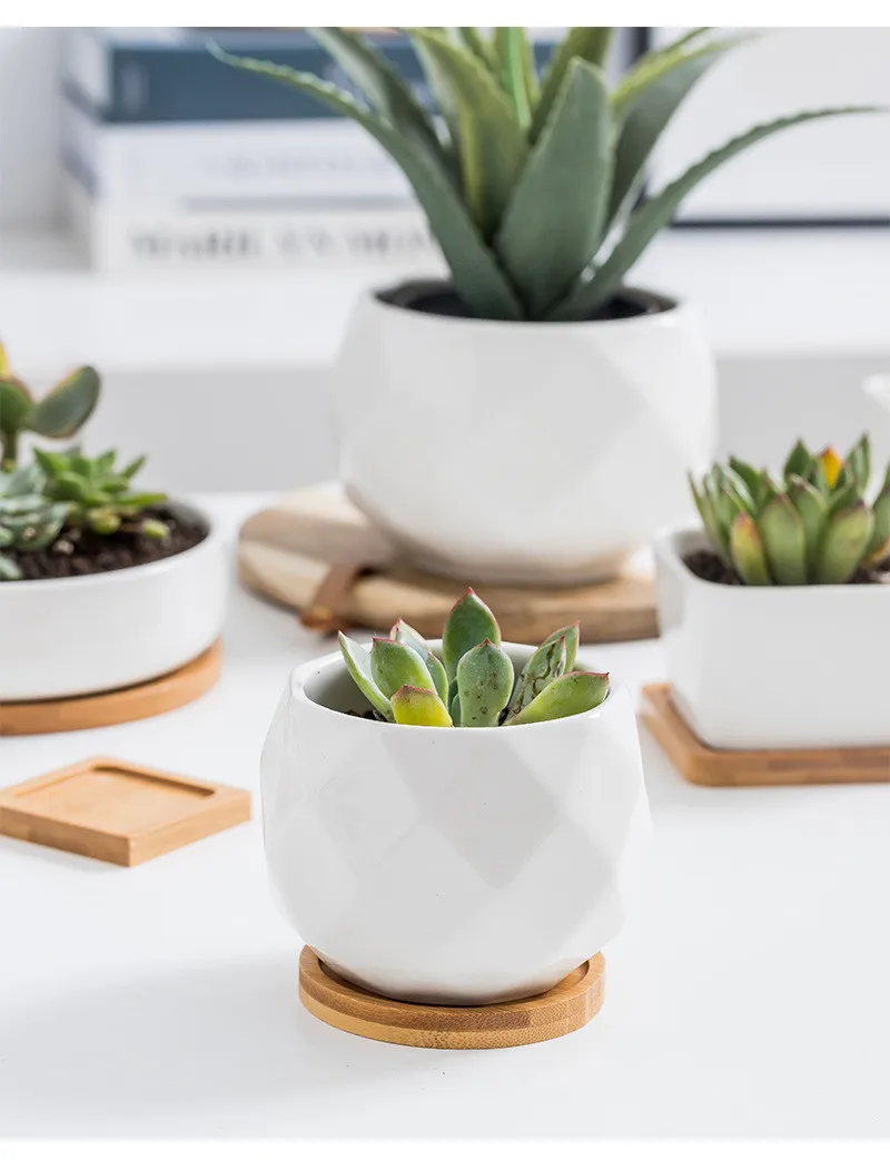 Multi Designs White Decorations For Home Decorative Pot Planter Garden Succulent Plants Ceramics Pot With Bamboo Tray