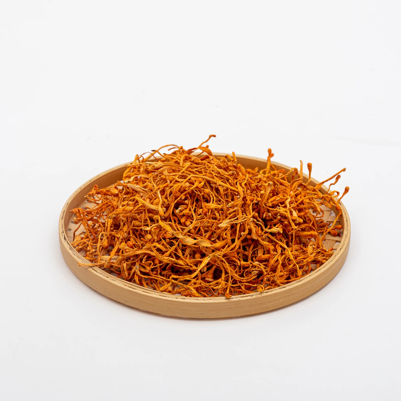 Cordyceps militaris