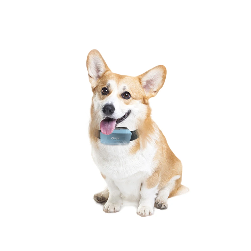 GPS Pet Tracker Tracking Device Locator with Built-in Battery support Omni APP