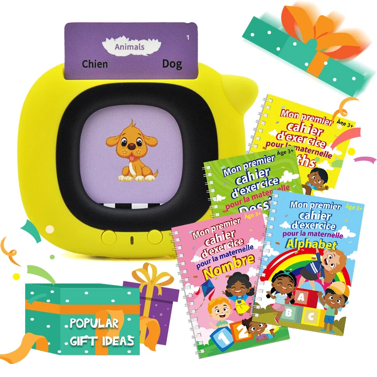 2 в 1 французский английский Jouets Educative Pour Enfant Flash кард-ридер для детей