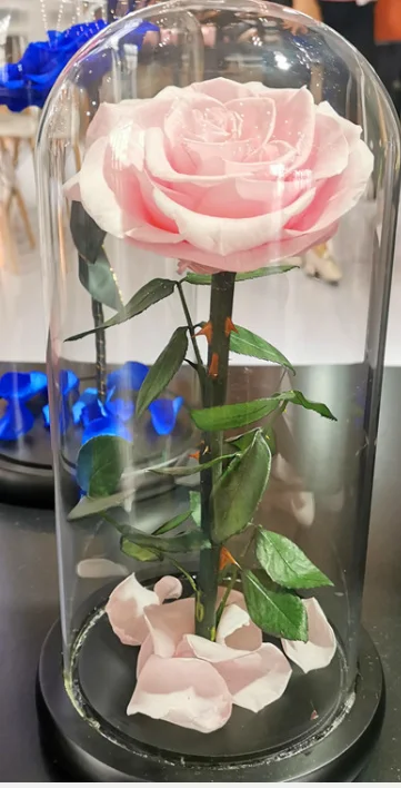 Kunming Floral Factory Supply Forever rose long Lasting flower Rose with 45 colors