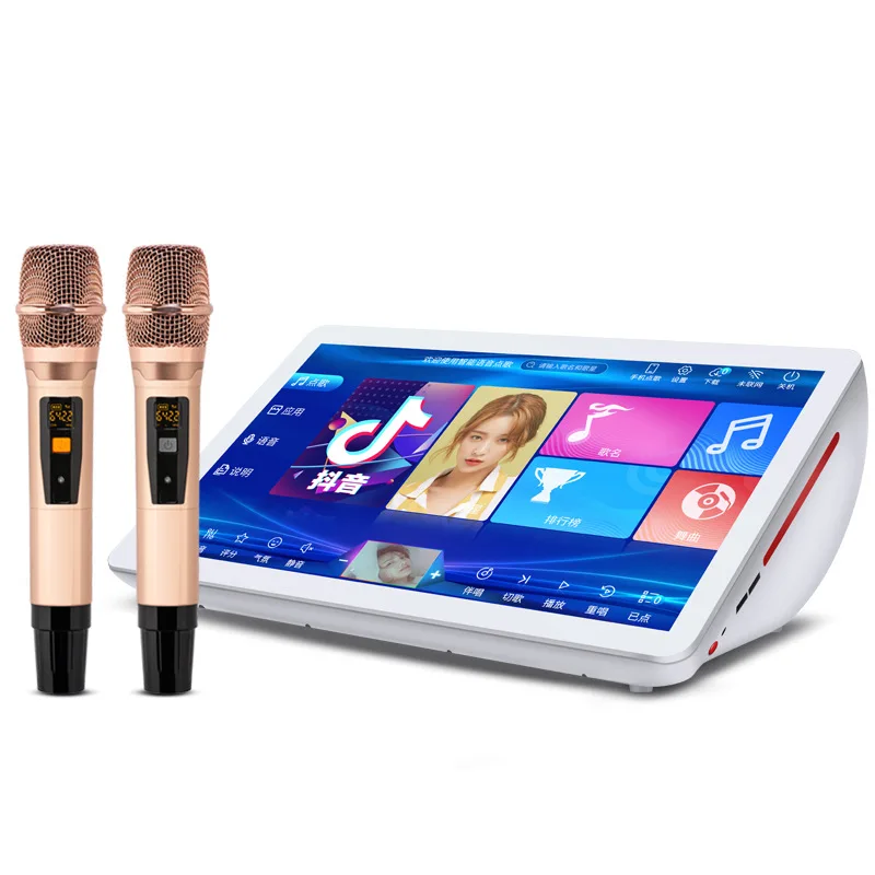 Multi-function All In One Wireless Microphone Karaoke Player