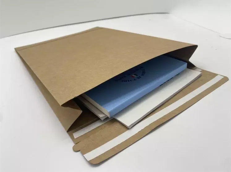 Customization Kraft Paper  100%  Recyclable Environmental  Friendly Mailer Bag Cardboard Envelope Bag