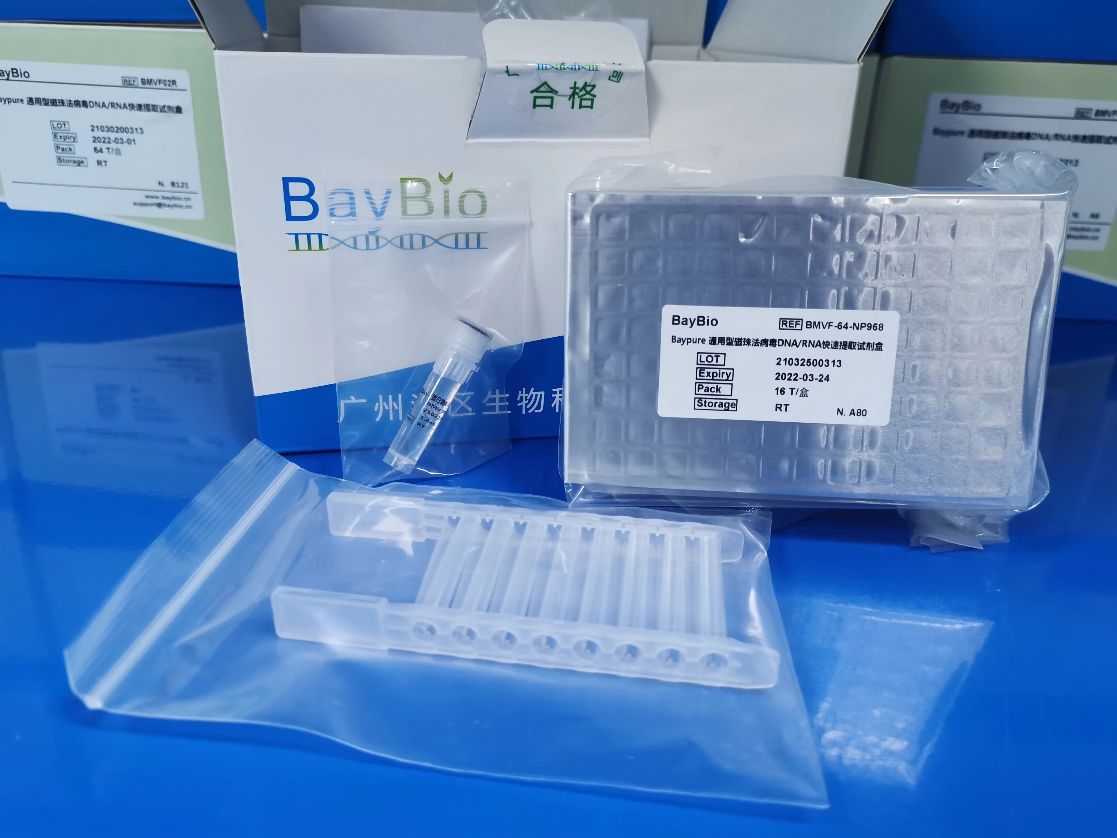 
Baypure Magnetic Baybio universal Genomic DNA isolation kit Southeast Asia market high quality 
