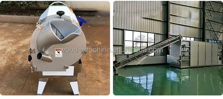vegetable washing machine price fruit vegetables washing drying dehydrate machine fruit