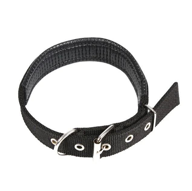 RM Wholesale of pet supplies Pet collars at special and low prices environmental protection materials