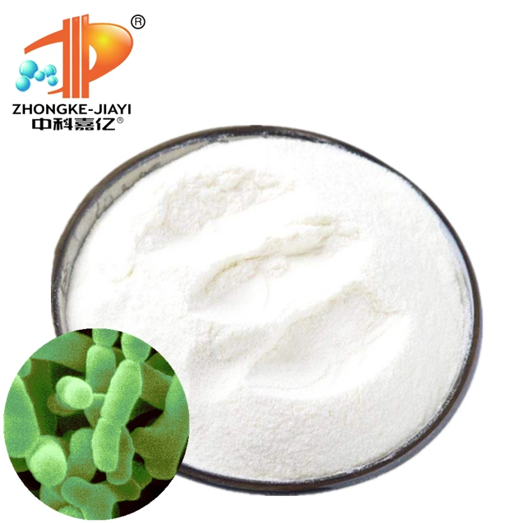 factory manufacturing improve immunity bifidobacterium infantis reliable China suppliers