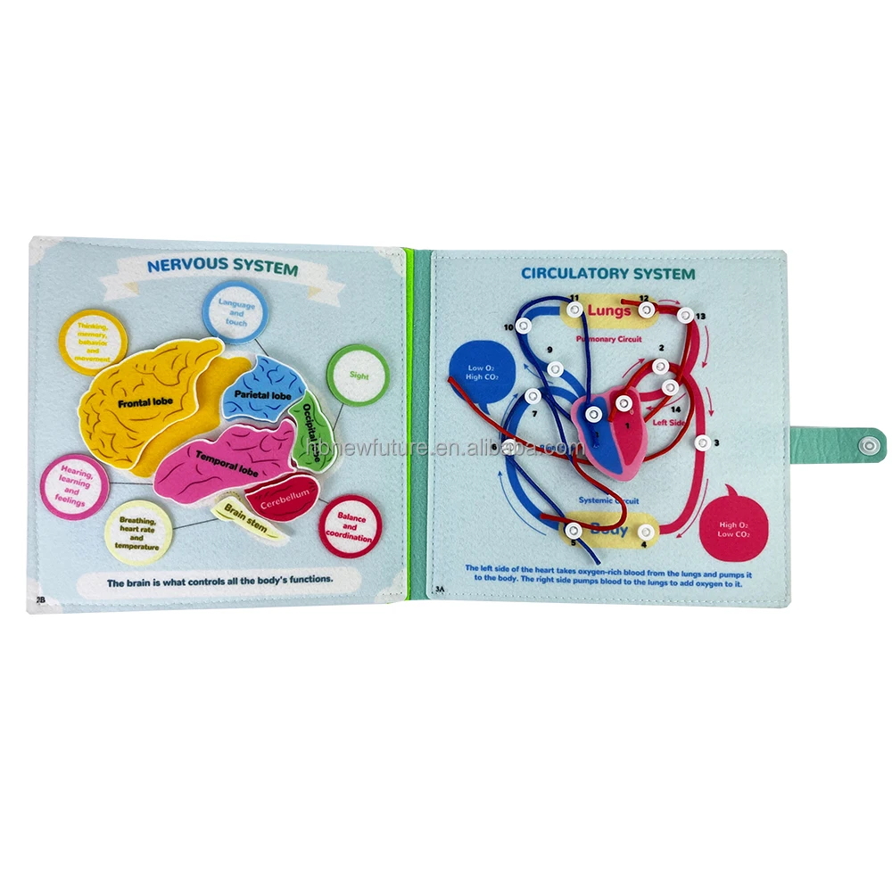 New Design busy book Early childhood education fabric science Human body Anatomy books learning about body structure for kids