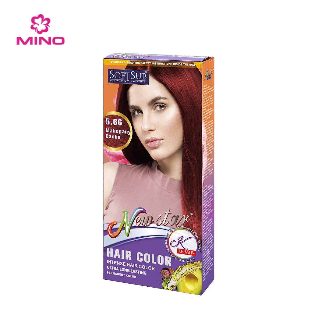 Argan Oil Extract Plant Permanent Hair Color Dye Shampoo OEM Customize Wholesale Natural for Women Covering Gray Hair 21 Colors