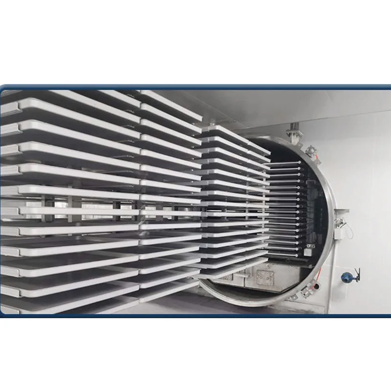 Versatile Multifunctional Lyophilizer For Vegetable And Fruit Industrial Freeze Dryer