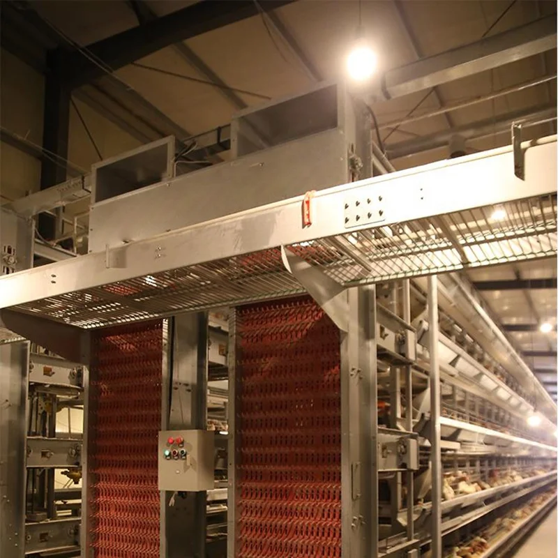 Chicken Poultry Farm Equipment Poultry Equipment For Broiler Farms Poultry Equipment Chicken Farming