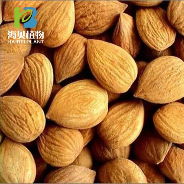 Greestals Supply Wholesale Pure Bitter Almond Oil Sweet Almond Oil Price