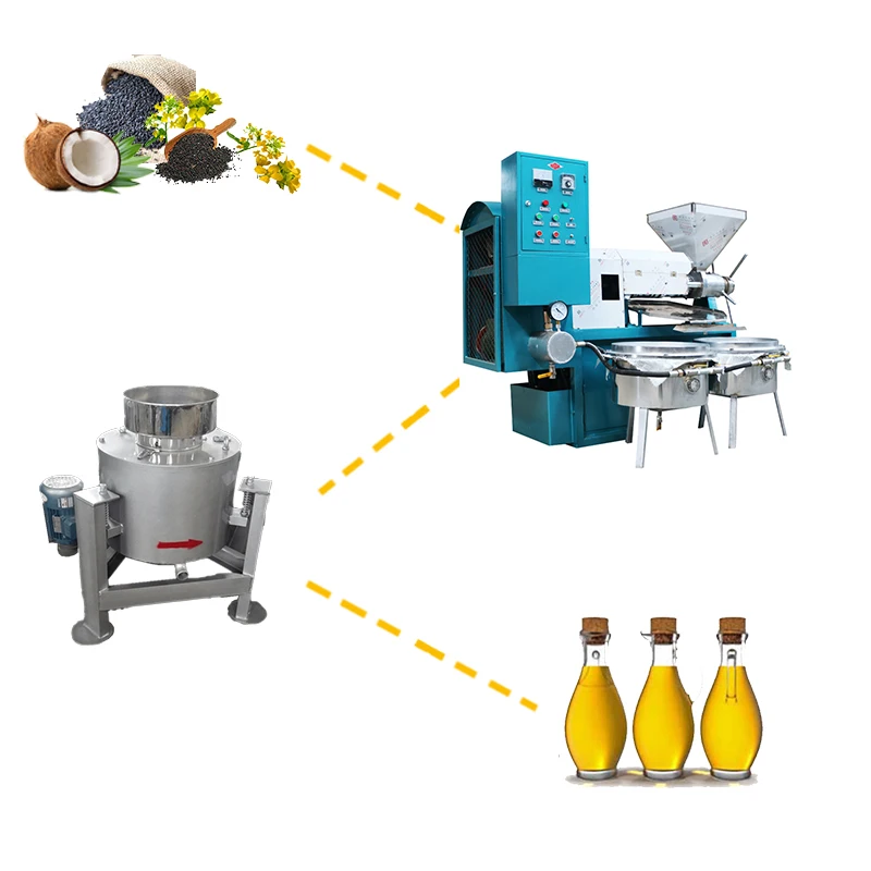 Small business stainless steel palm seed kernel screw cold oil press machine