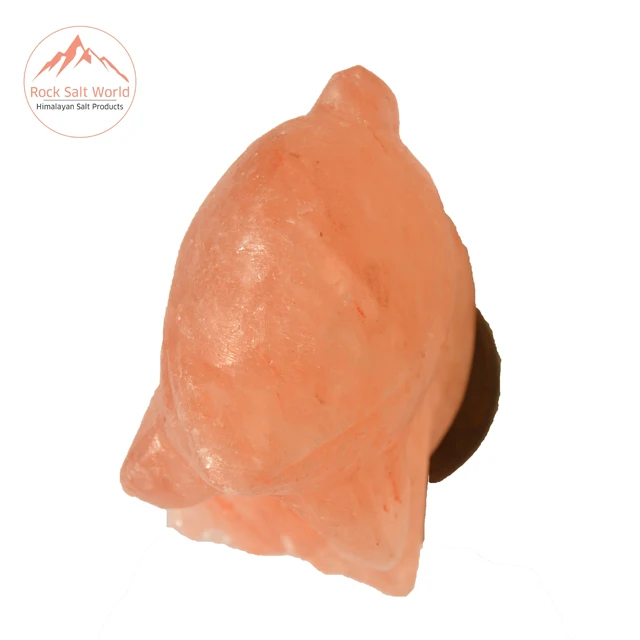 
Himalayan Natural Fish Shape Rock Salt Lamp with Original Wooden Base Cord and Bulb For Home Decoration in Room and Office 