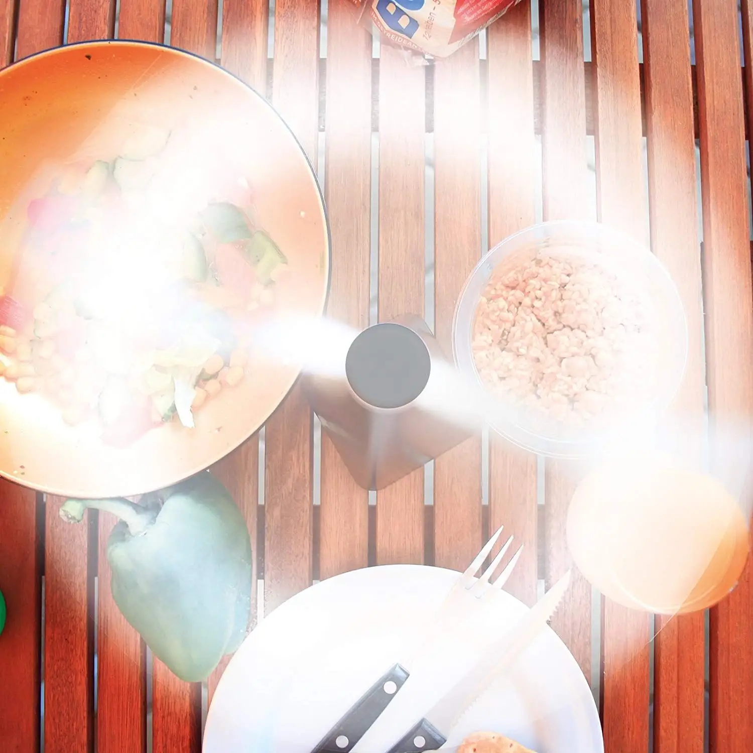 2022 Hot Selling Product No Chemicals Battery Fly Fan for Outdoor Keep Bugs Flies Away for Your Food with CE Certification