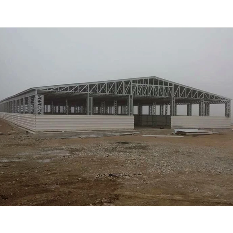 AFFORDABLE Price Steel Warehouse Buildings