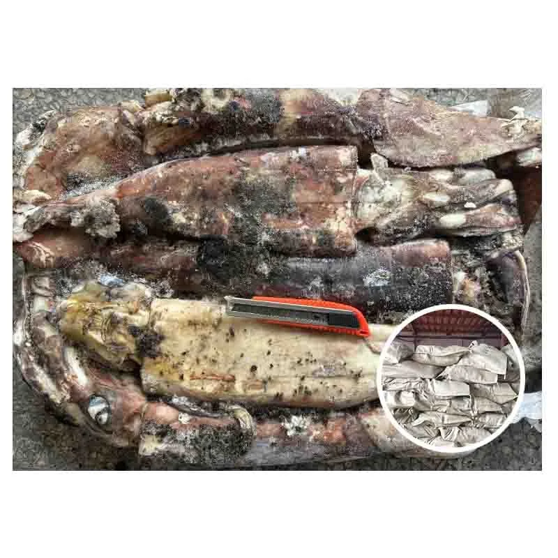 Wholesale Supplying Peru Squid Dosidicus Gigas 6-8pcs Frozen Giant Squid
