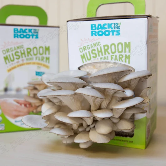 Custom Branding Biodegradable Oyster Mushroom Grow Kit Corrugated Box Paper Cardboard Mushroom Growing Box
