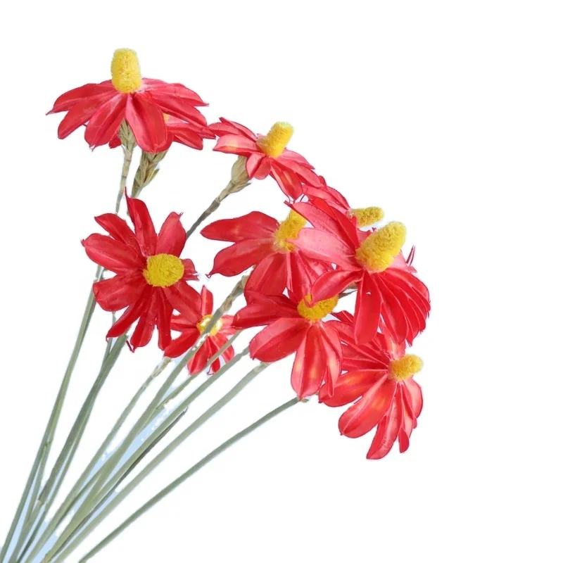 2021 Hot Sale Preserved Little Daisy Gemstone Flowers Preserved peony Dried Factory Directly Supply for Christmas Gift