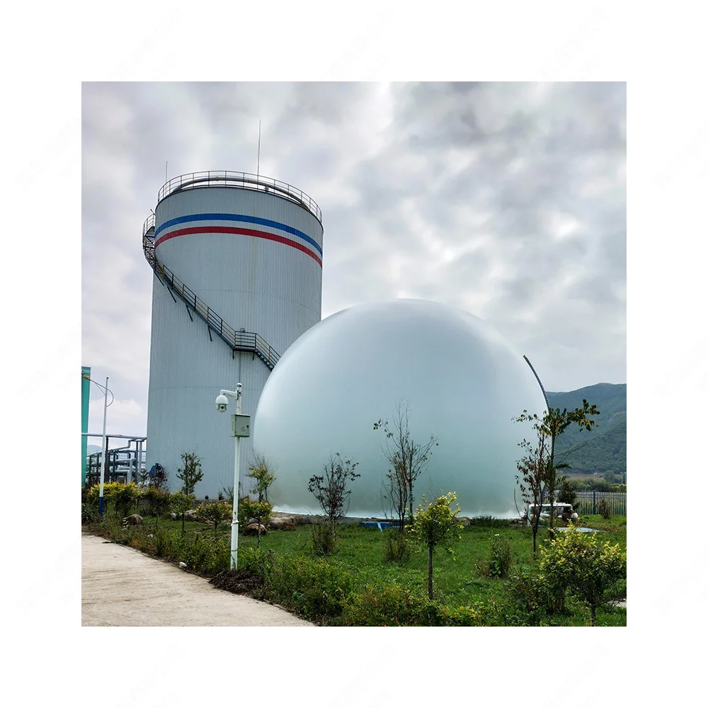 China PVC soft 1m3 biogas storage bag/1mw 1000m3 biogas plant/5kw biogas plant to generate electricity