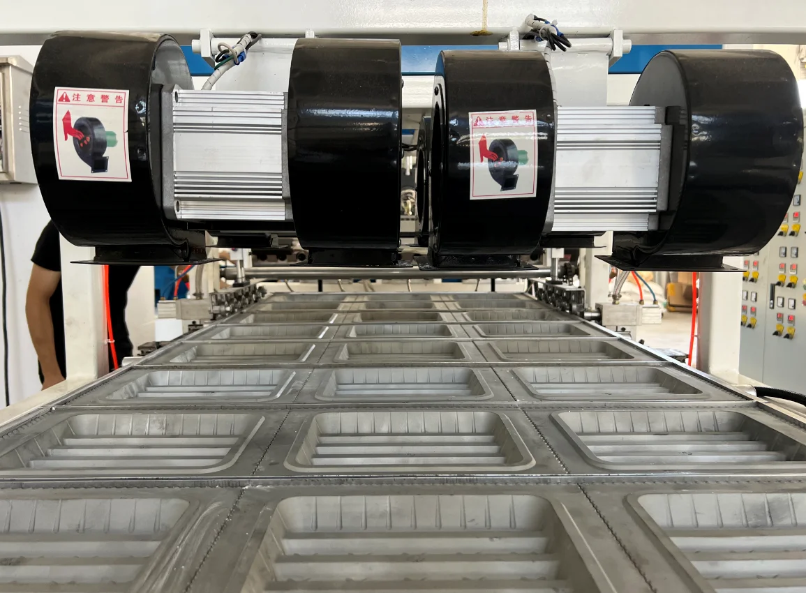 Disposable Food Plate Meal Tray Market Tray One-Step Fully Automatic Vacuum Forming Machine