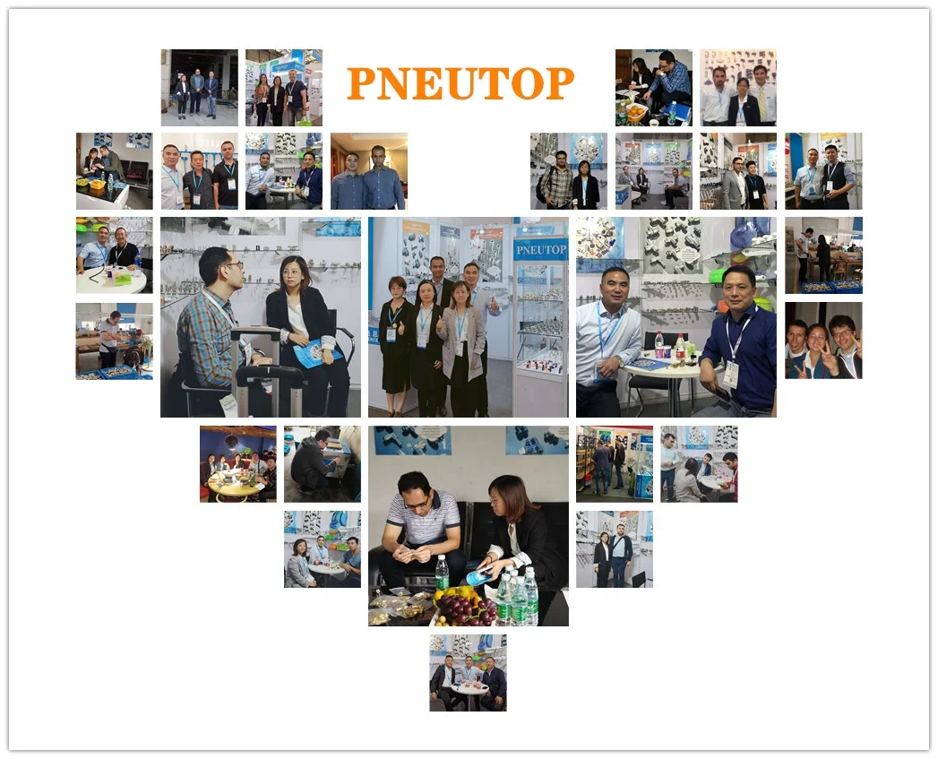 Elbow Nickel brass pipe fittings rapid screw fittings-mini type inflation valve(auti parts)