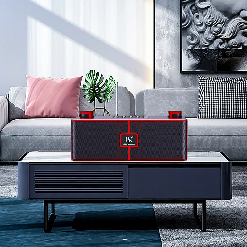 YS204 UHF Wireless Microphones Portable Wireless PA Karaoke Speaker Voice Amplifier