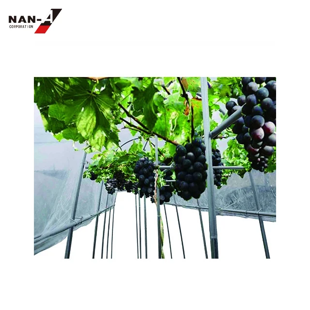 Good quality grape rain proof protective greenhouse film for home gardening