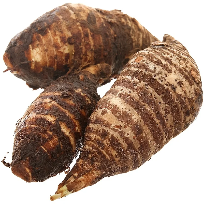 
High Quality Dry Slice Cassava from Vietnam 