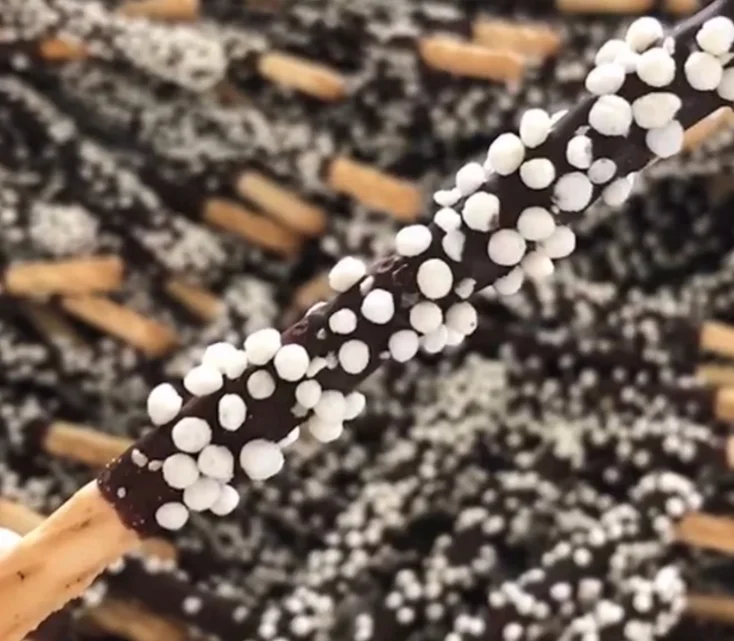 Stick Biscuit dipping chocolate with nut machine