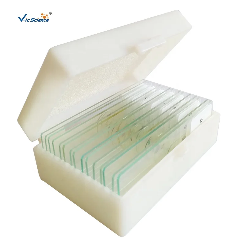 15PCS Microbiology microscope prepared slides for teaching