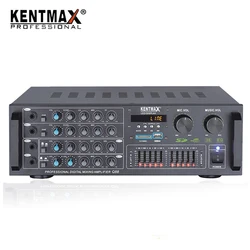 plate amplifier Super Bass Mini Hi-Fi Stereo Power Amplifier for KTV karaoke usb audio speaker
