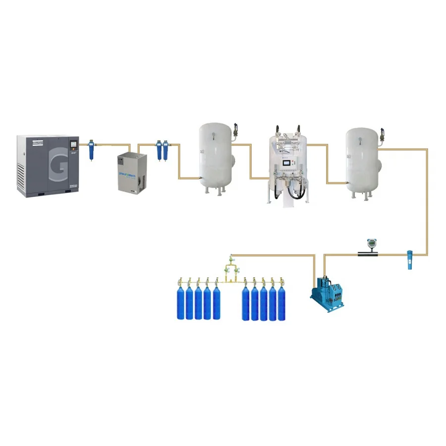 Pressure Swing Adsorption Oxygen Production Plant