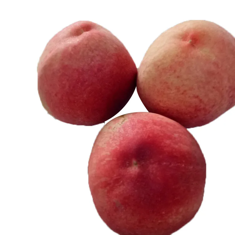 
 Саженцы фруктового дерева Prunus Persica  