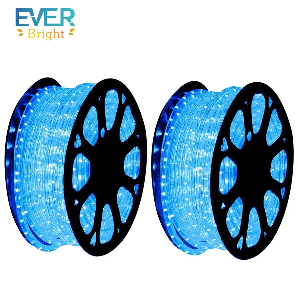 RTS Wholesale 100 Meter 110v 220v Outdoor Round Hose Decorative Neon Flex RGB IP67 Waterproof Led Rope Lights