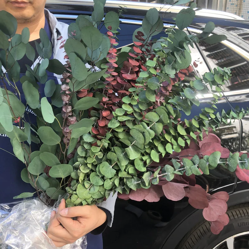 Gift Preserved Flower Box Valentine Wholesale Luxury Everlasting Stabilized Preserved Rose preserved Eucalyptus