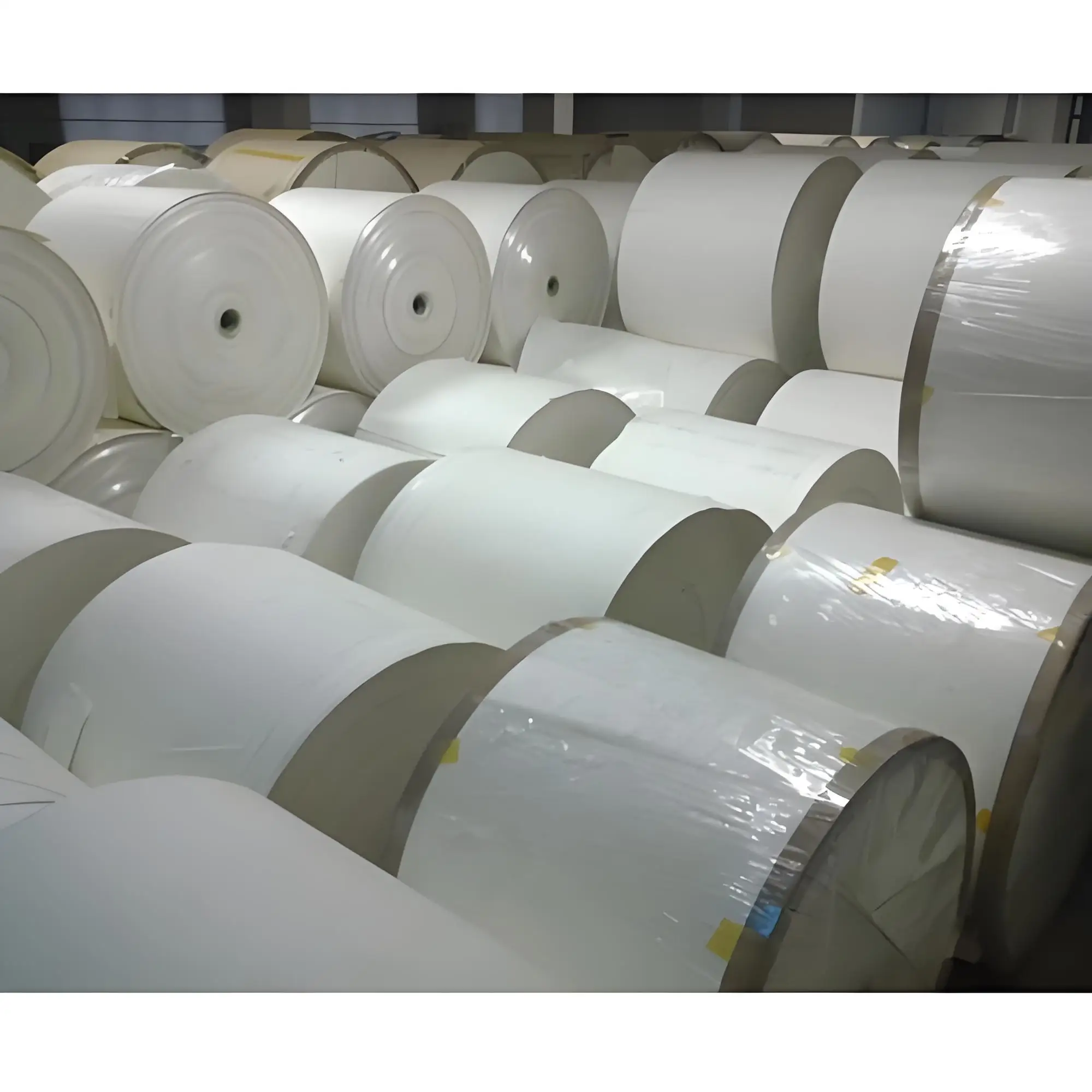 China Supplier Paper Reel PE Coated Paper Cup Raw Material Bottom Paper Roll for Bowl and Cups