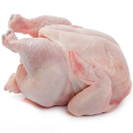 Оптовая продажа замороженных цыплят HACCP Халяль замороженная цельная курица