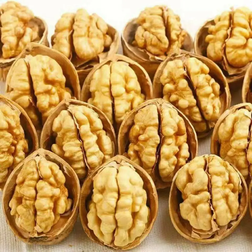 Wholesale Dry Fruits Walnuts Raw Walnuts Kernels Grade Sweet Taste China High Quality Walnuts Export