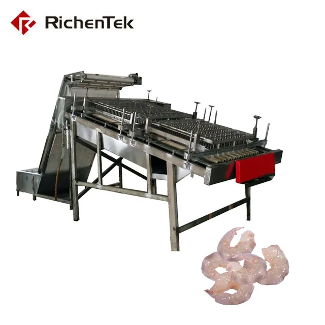 Automatic Shrimp Cleaner Grader Machine/prawn Washing Grading Machine/fresh Shrimp Size Roller Sorting Machine For 6 Grades